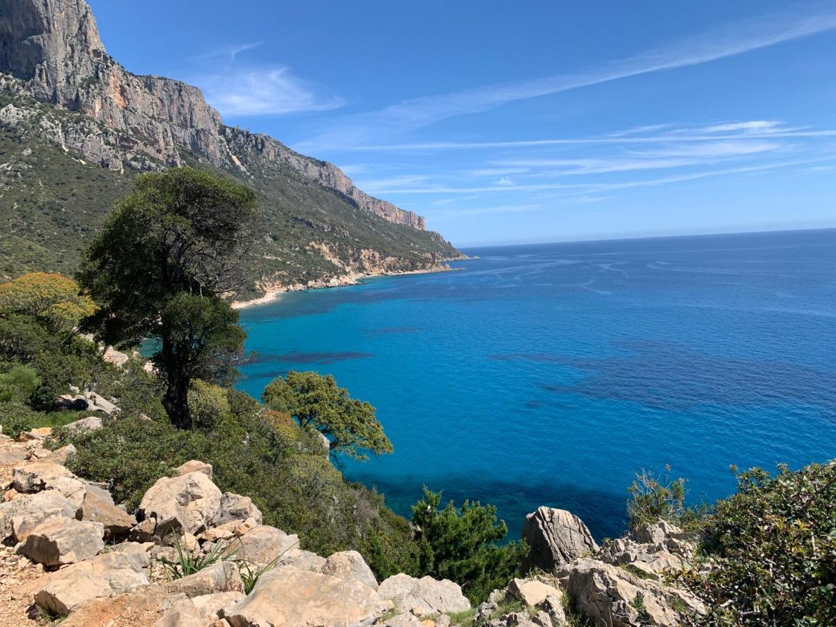 Casa vacanza “Arbatax” Tortolì Esterno foto